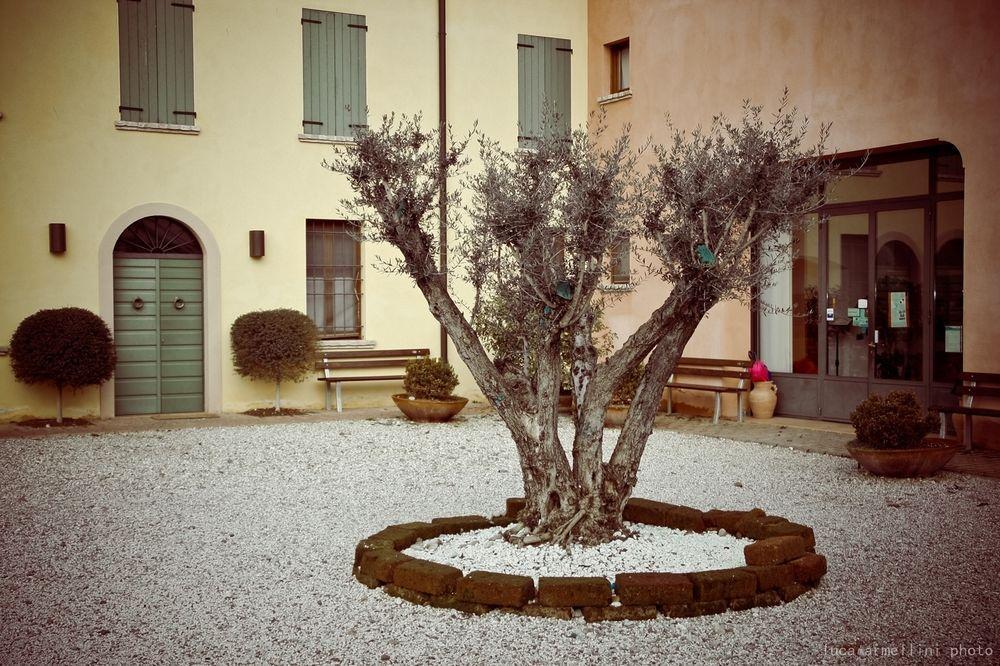 Agriturismo Cascina Boschi Volta Mantovana Exterior foto